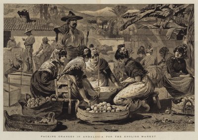 تعبئة البرتقال في الأندلس للسوق الإنجليزية بواسطة إدوين بوكمان